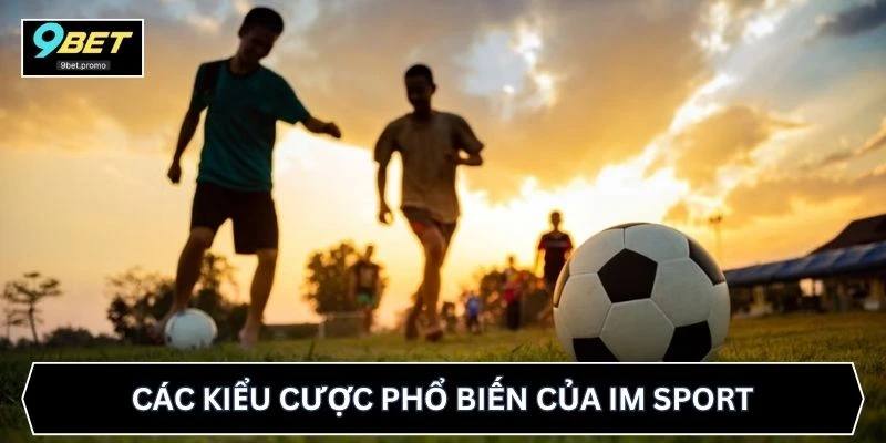 Các kiểu cược phổ biến của IM Sport
