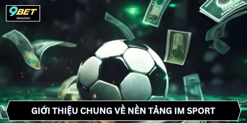 Giới thiệu chung về nền tảng IM Sport